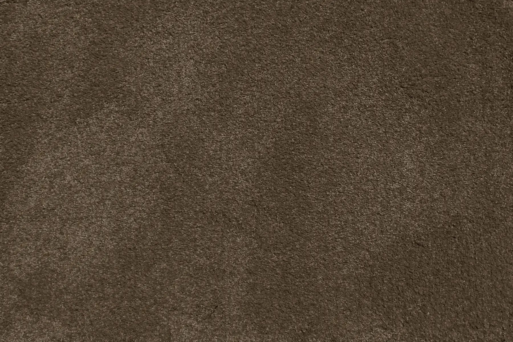 Duchesse carpet in Murat