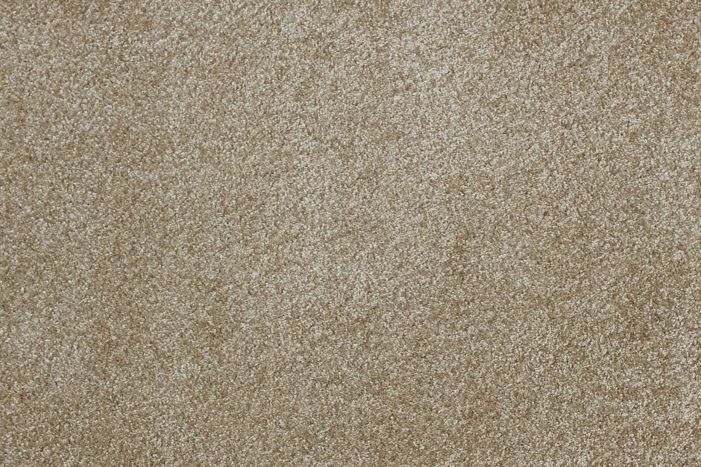 Sensation carpet in Notion