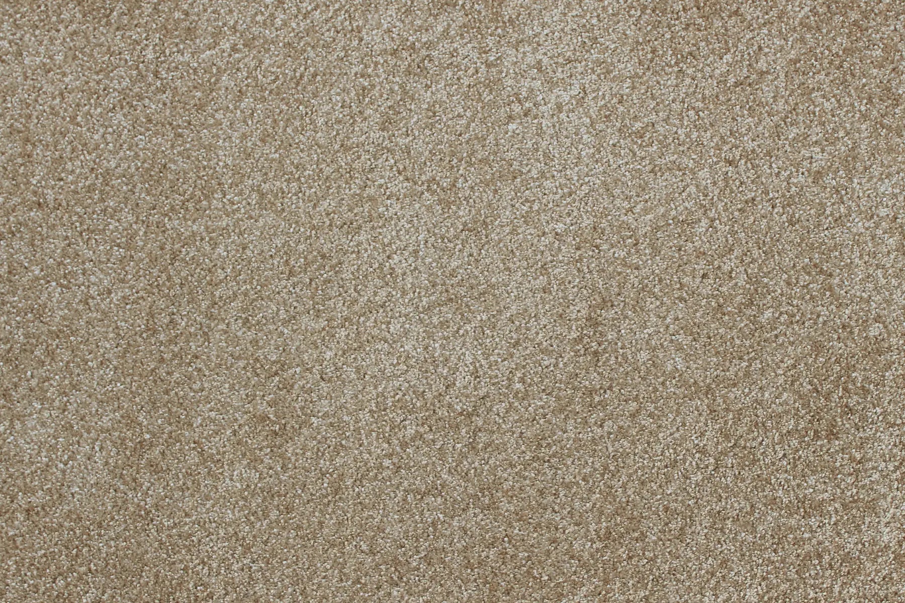 Sensation carpet in Notion