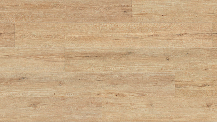 Robust Vinyl Plank 2mm - Daylight Villa – swatch
