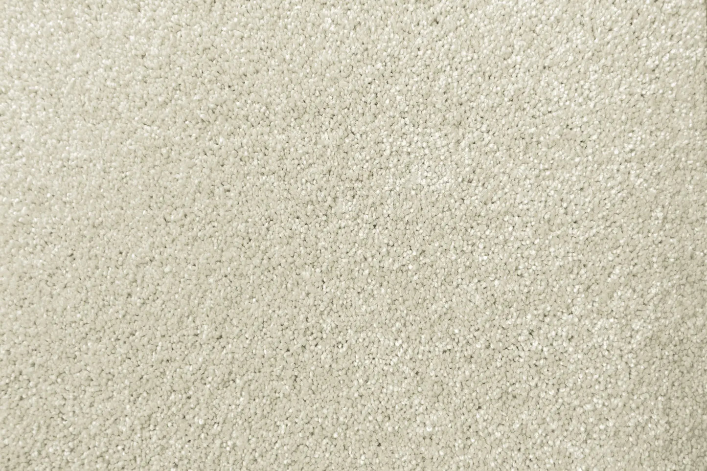 Lush carpet in Opulent