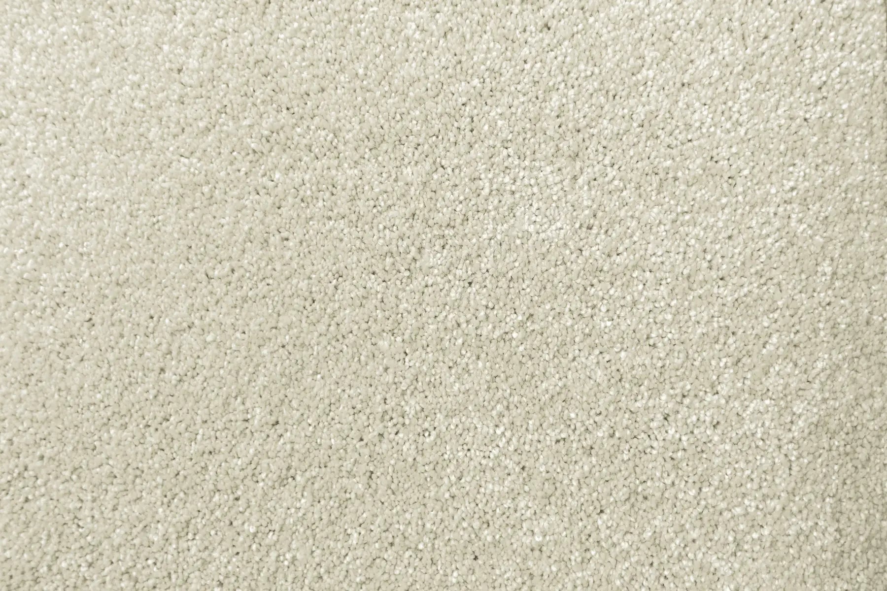 Lush carpet in Opulent