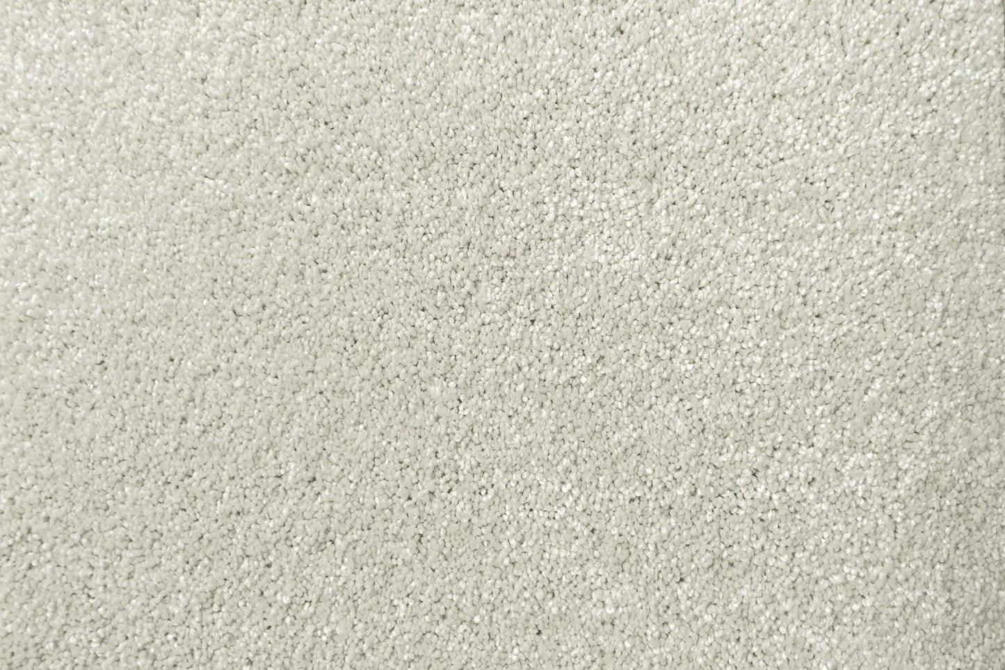 Lush carpet in Ornate
