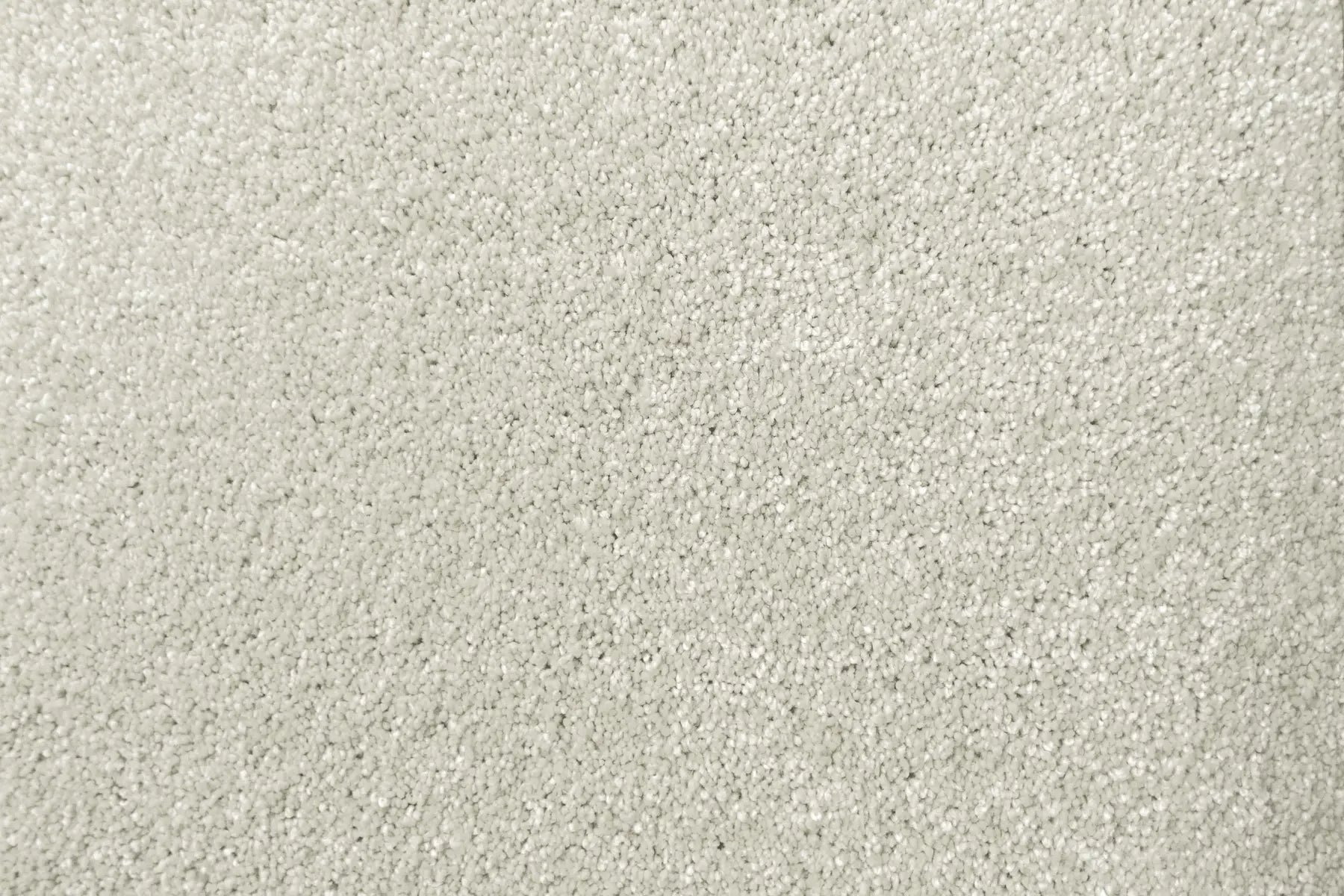 Lush carpet in Ornate