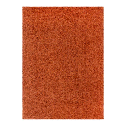 Lune Shaggy Terracotta Rug