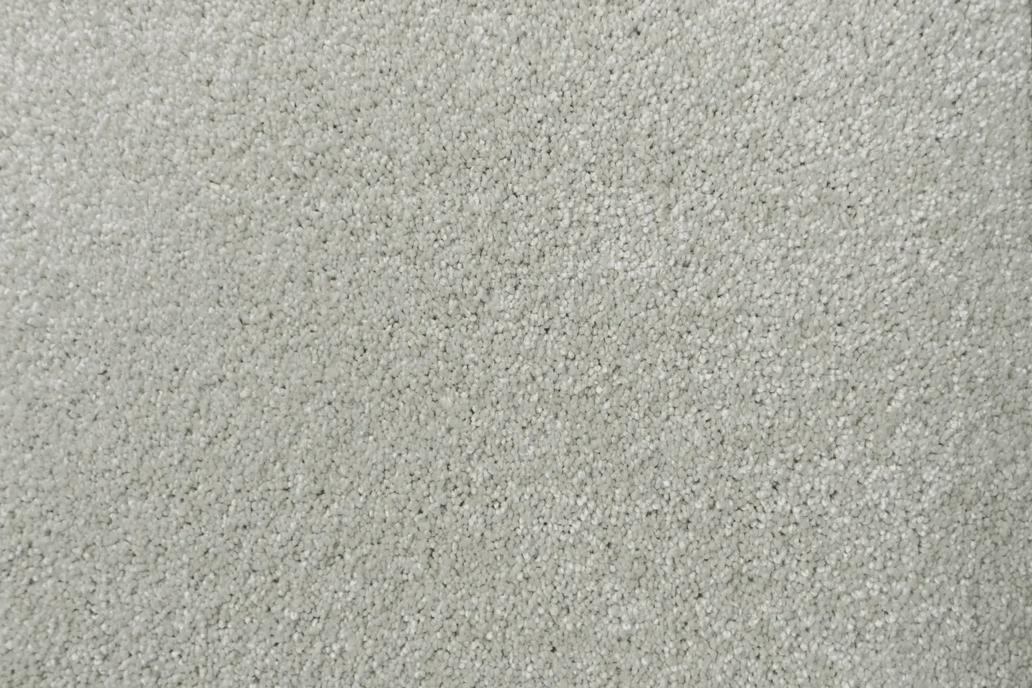Lush carpet in Palatial