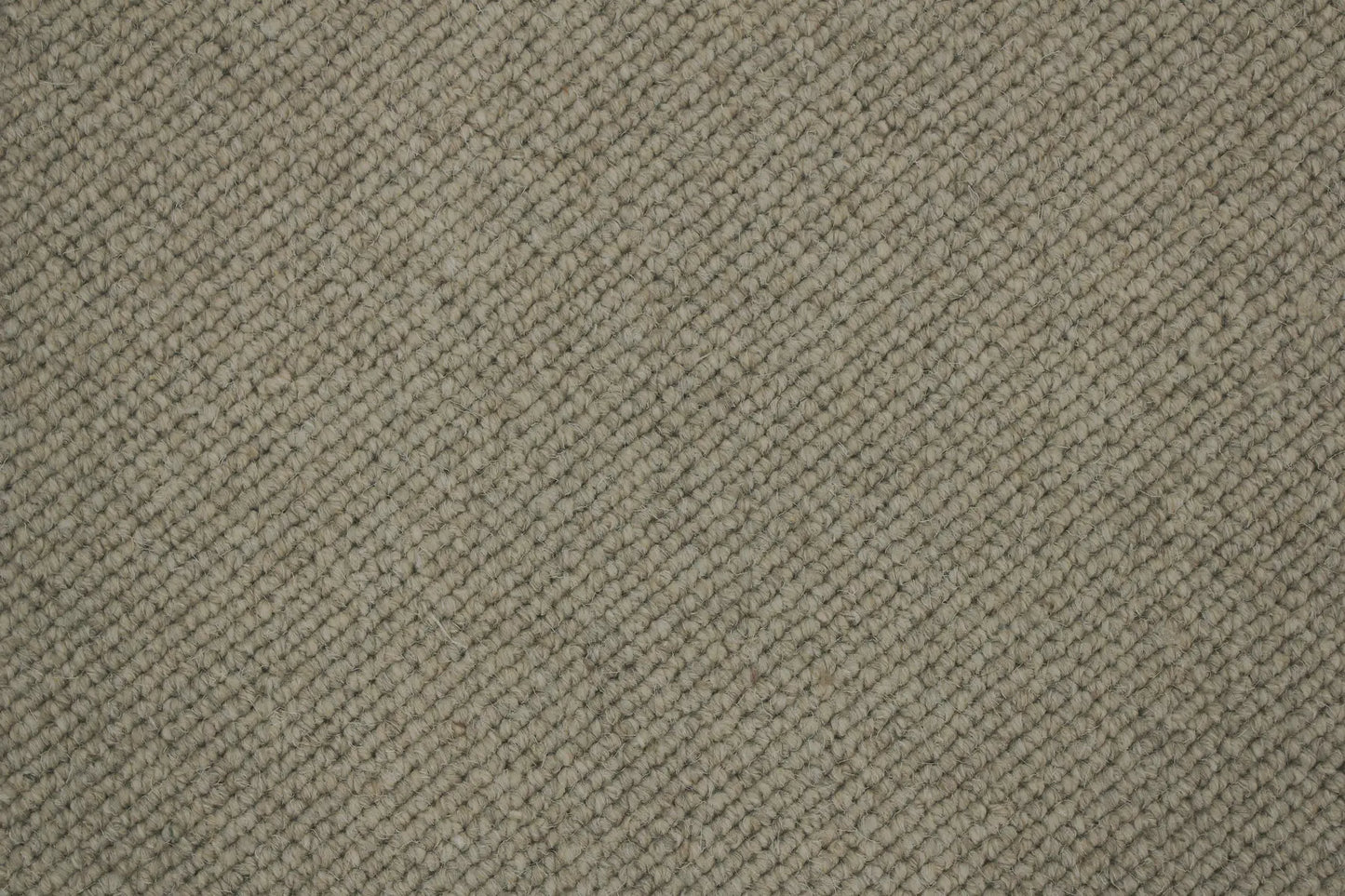 Nobby carpet in Pepita