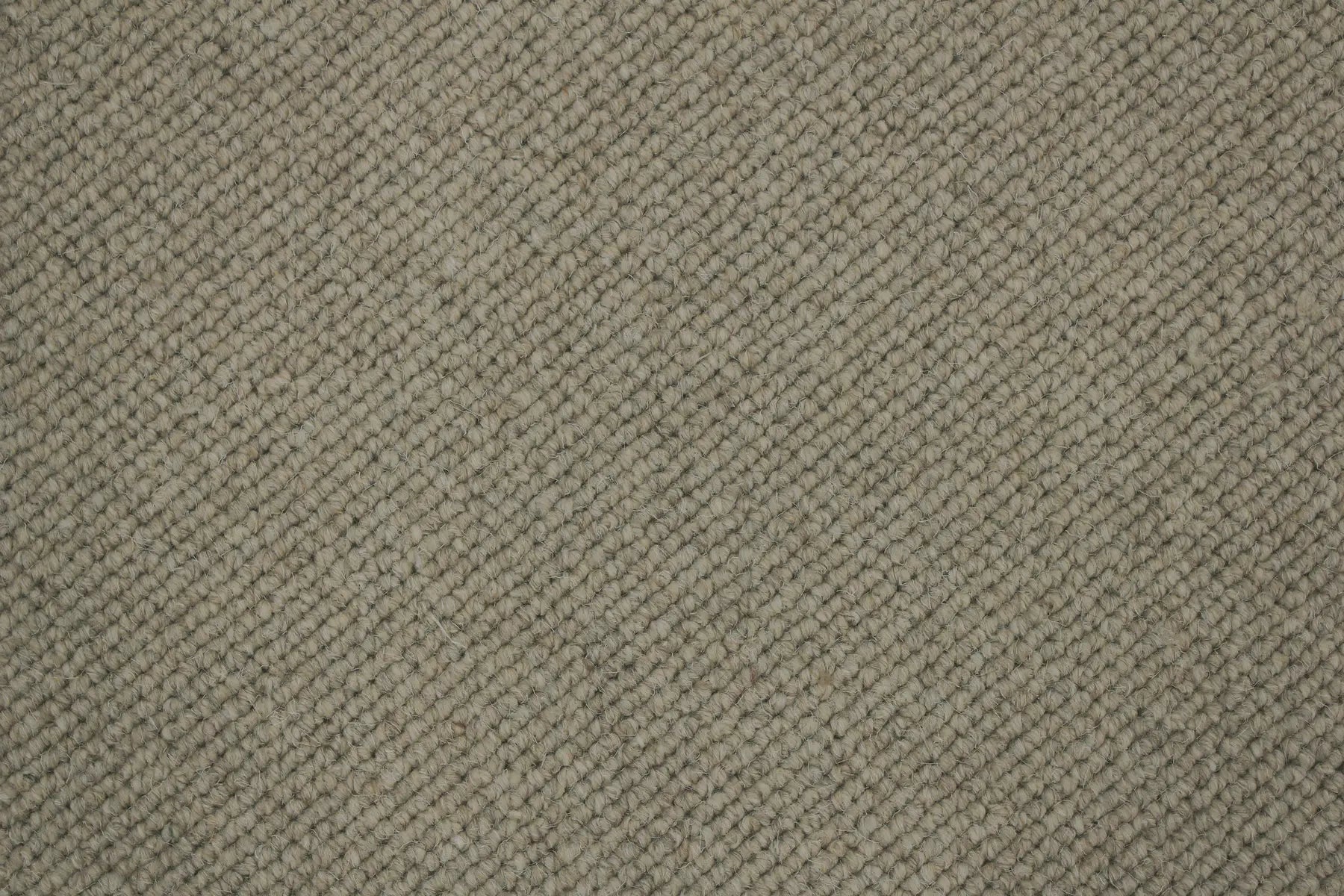 Nobby carpet in Pepita