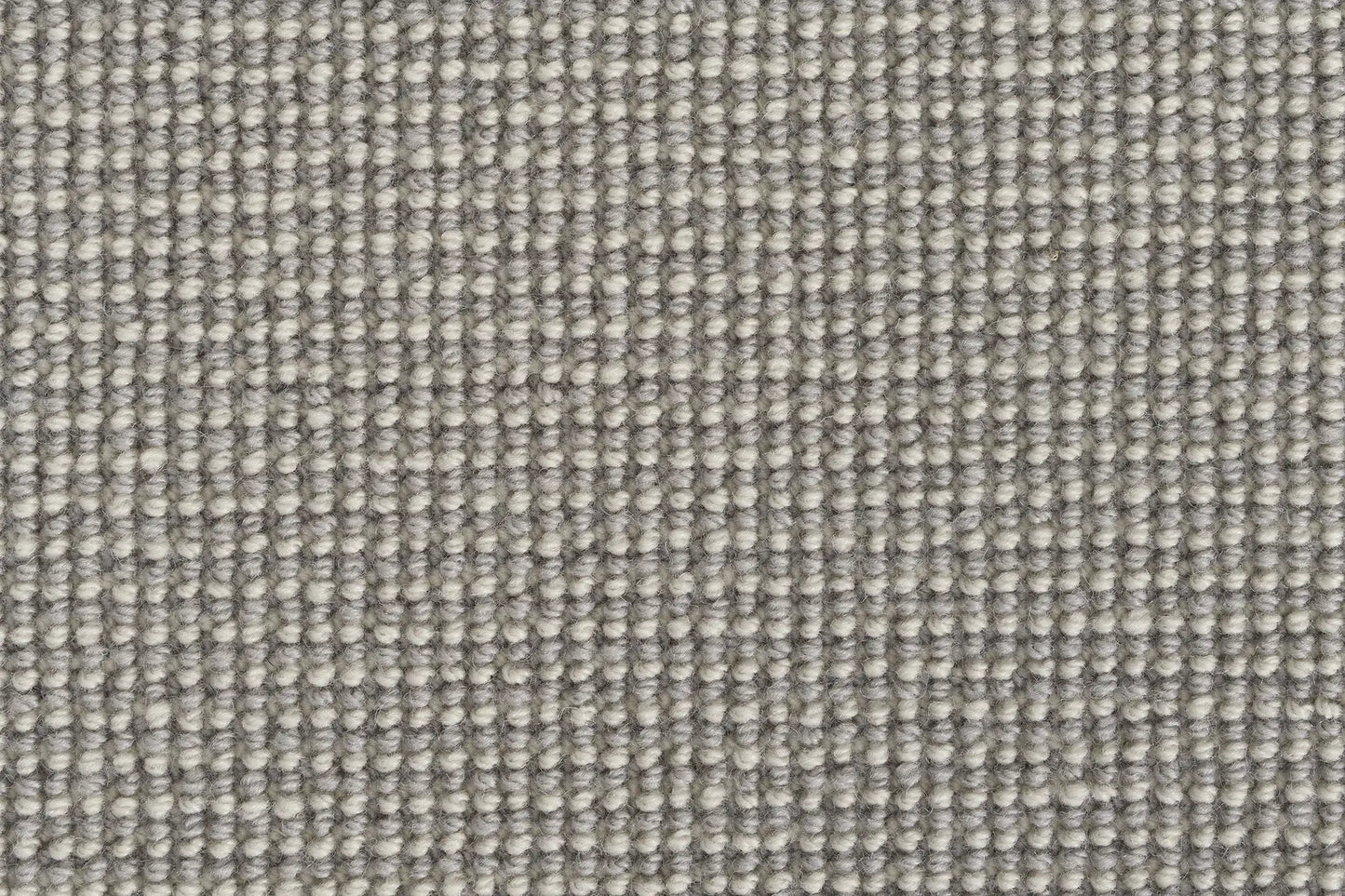 Alta carpet in Plateau