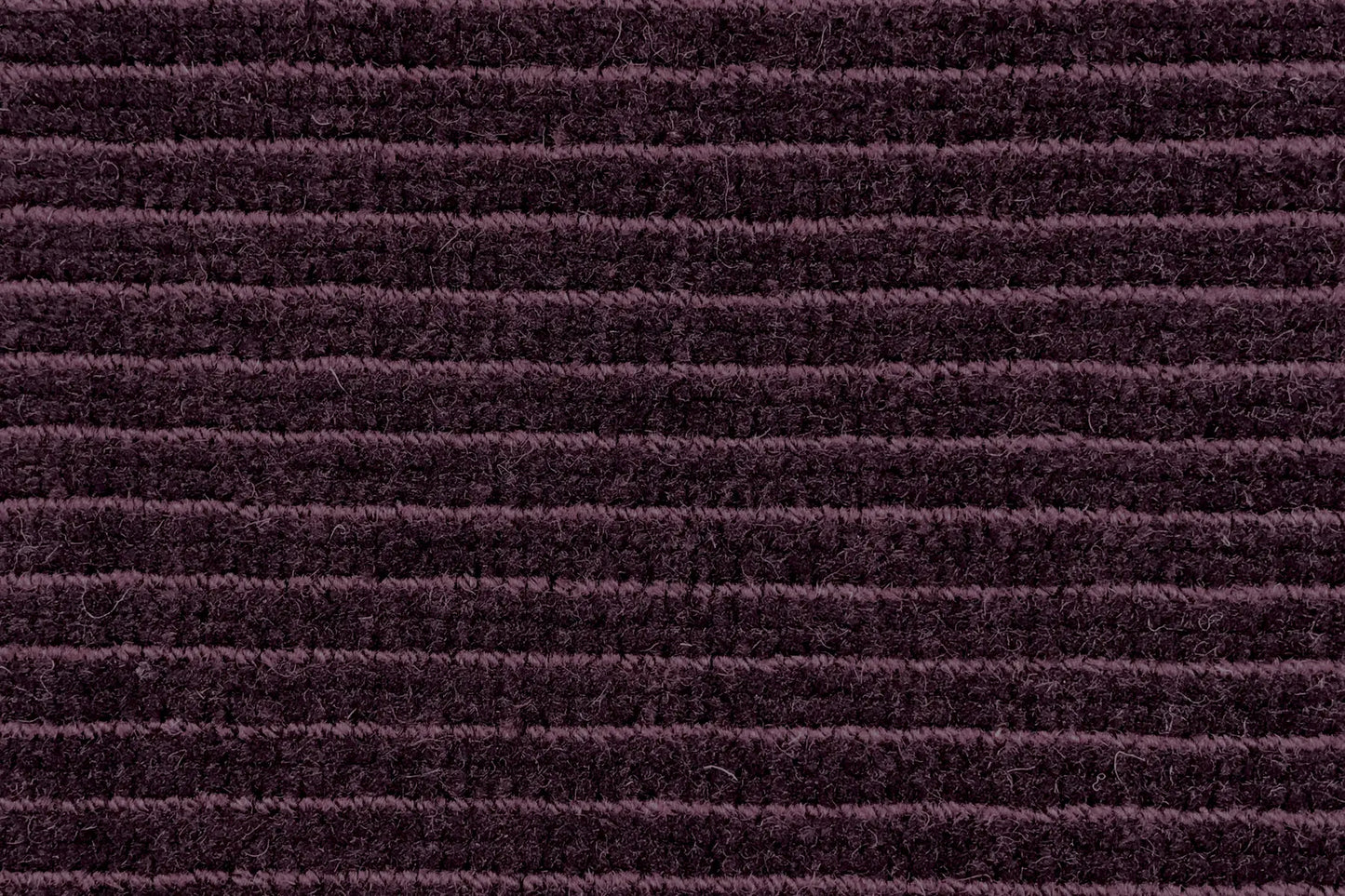 Era carpet in Quantum