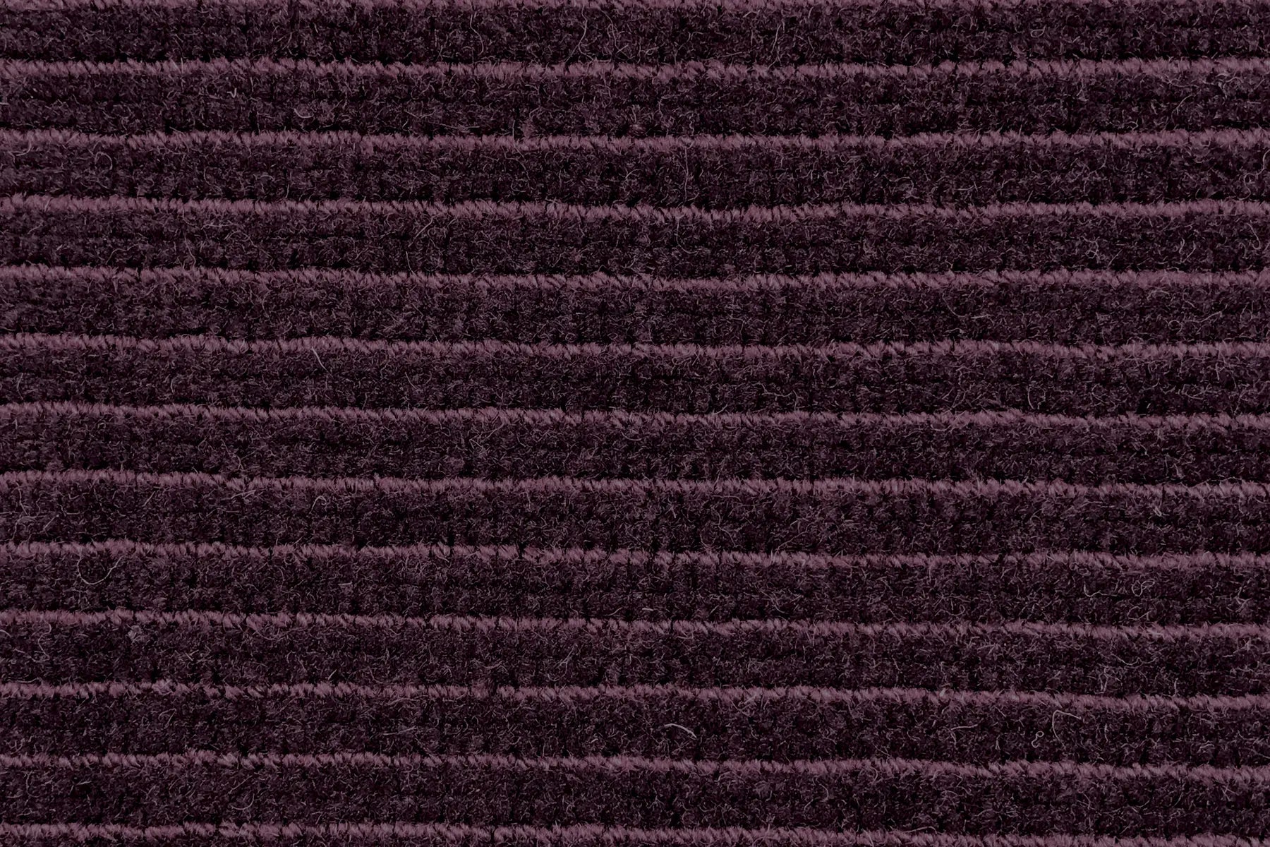 Era carpet in Quantum