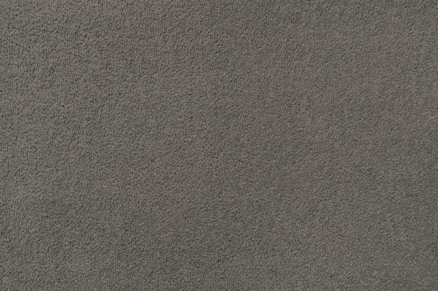 Plume carpet in Quiver
