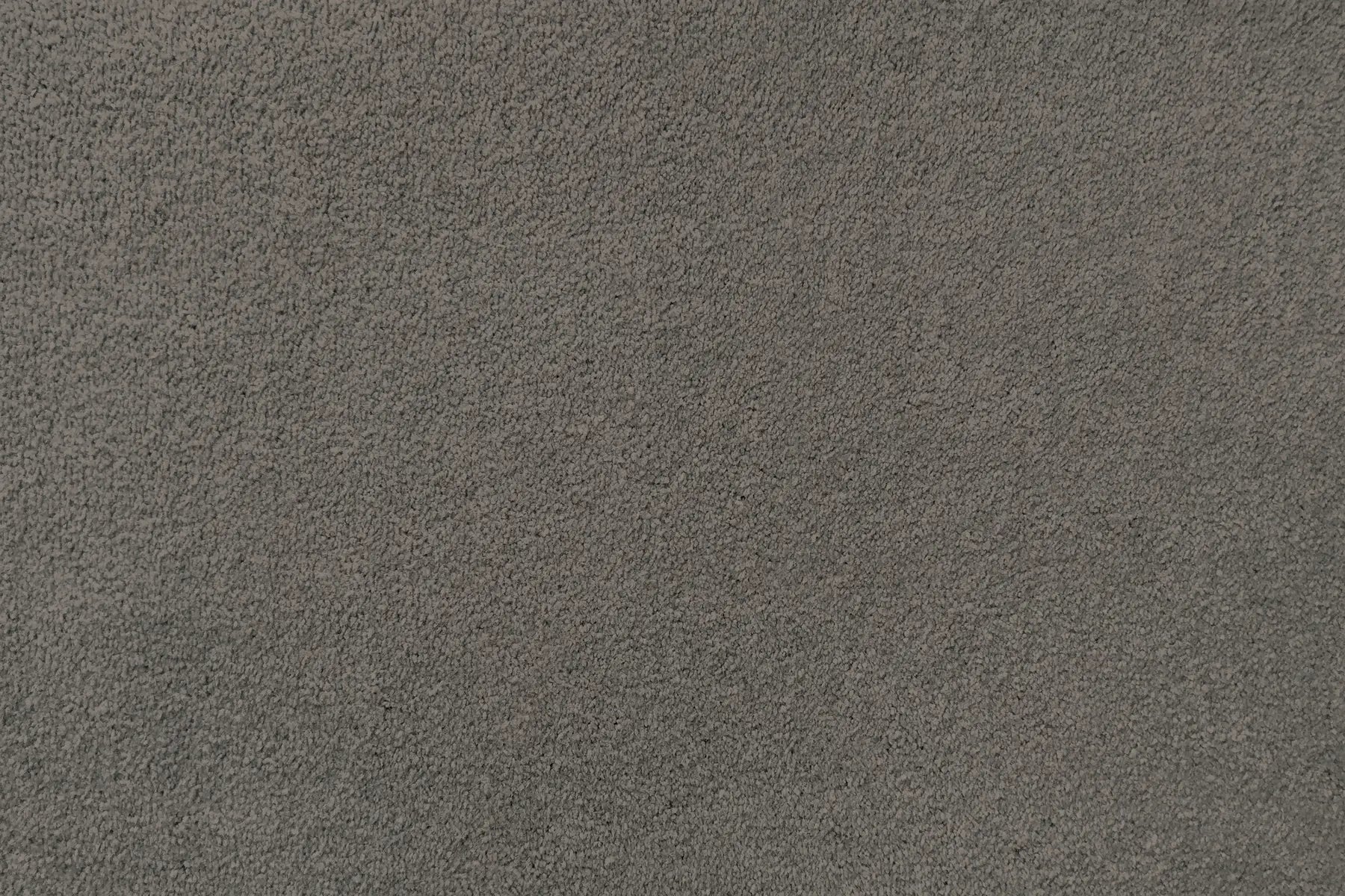 Plume carpet in Quiver