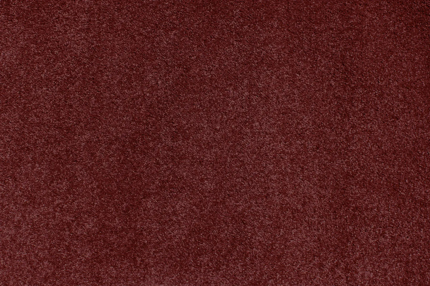 Charmeuse carpet in Rhone