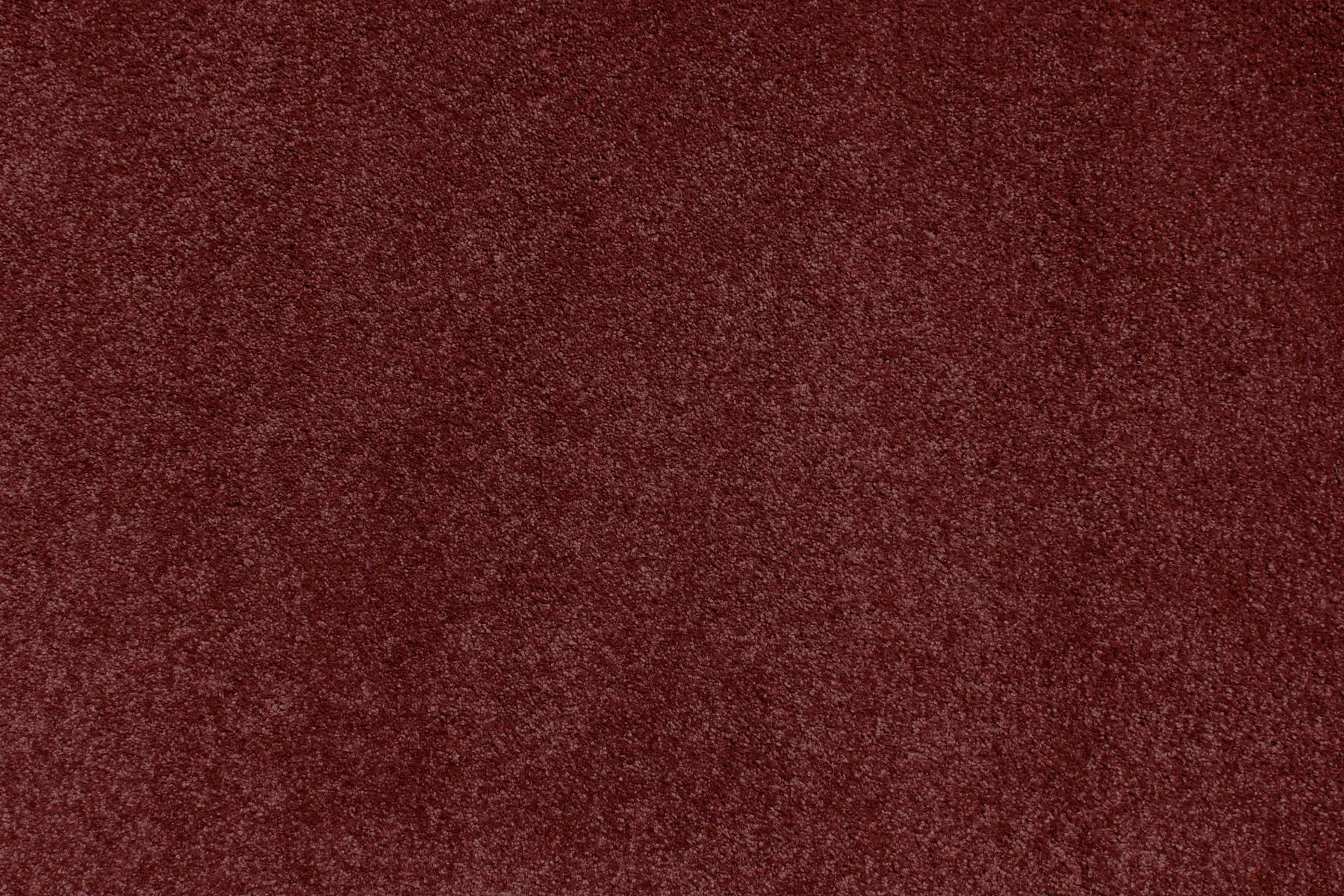 Charmeuse carpet in Rhone