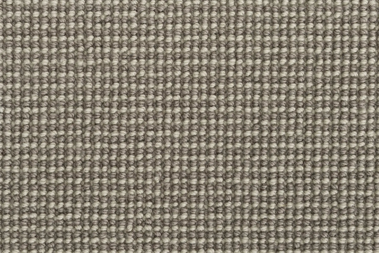 Alta carpet in Ridge