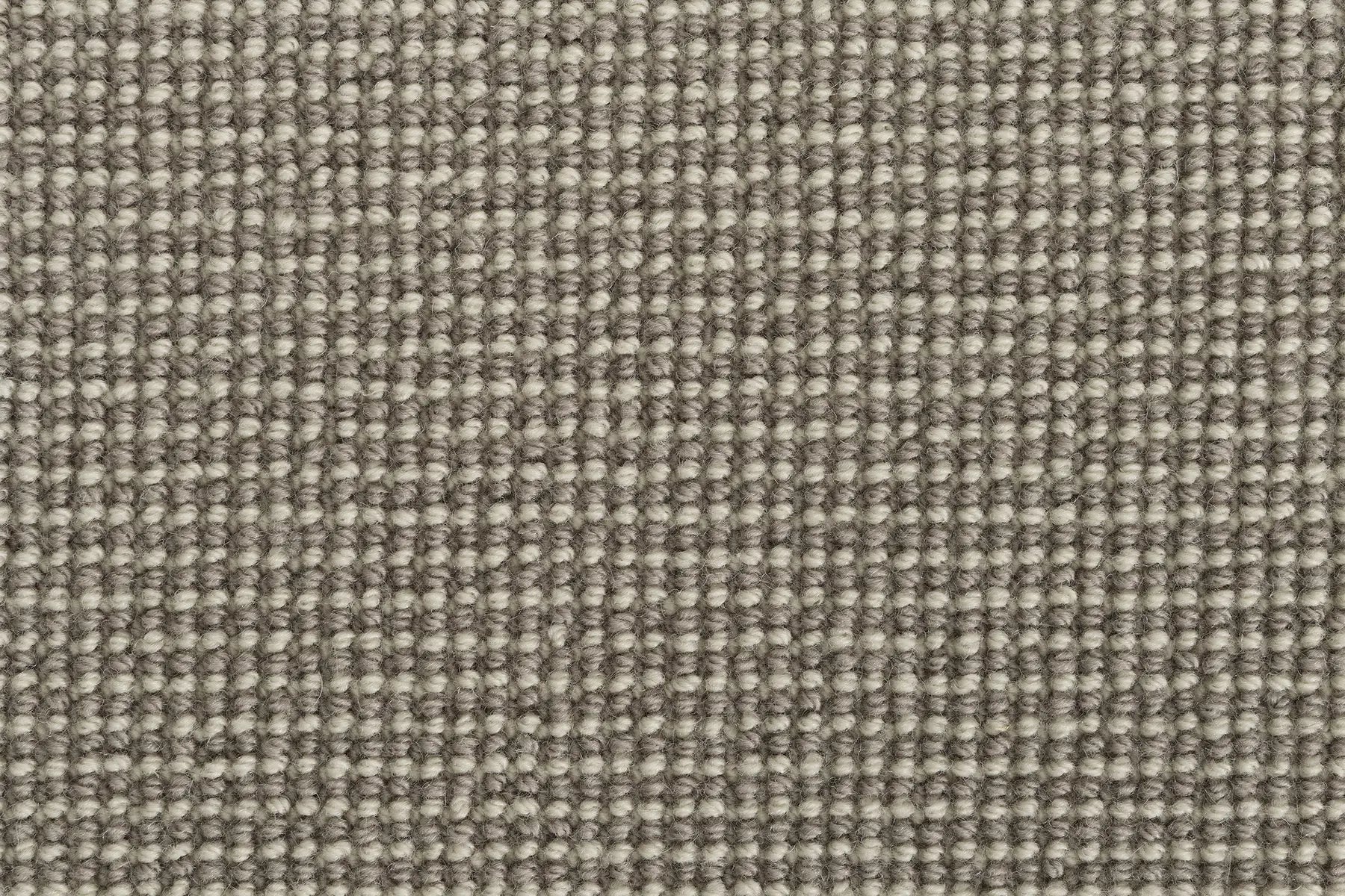Alta carpet in Ridge