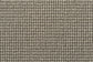Alta carpet in Ridge