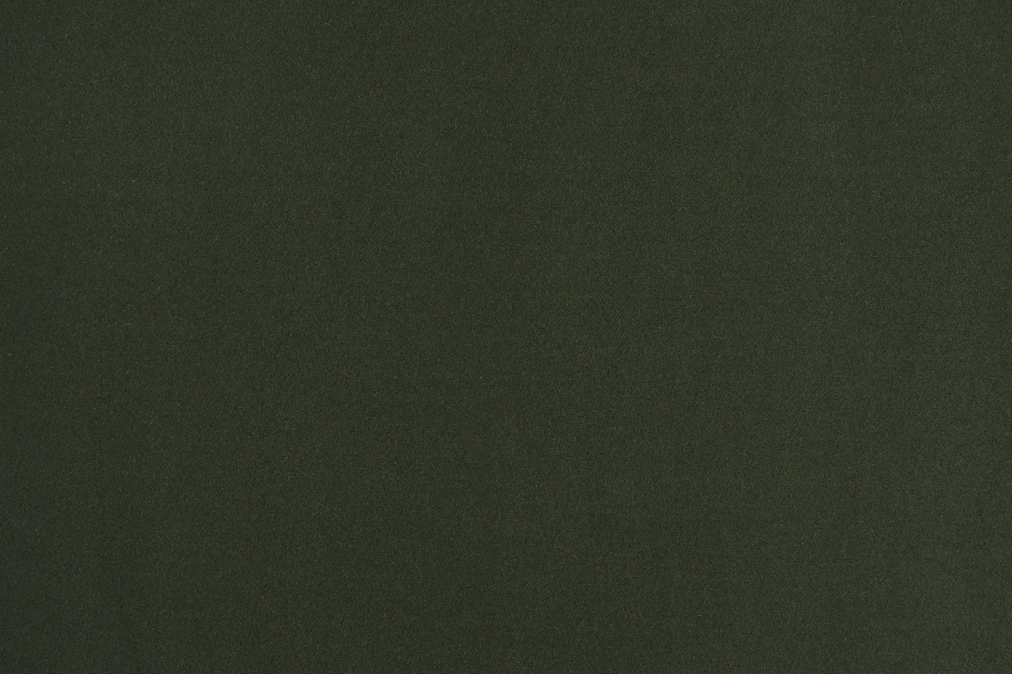 Chateau carpet in Rochester