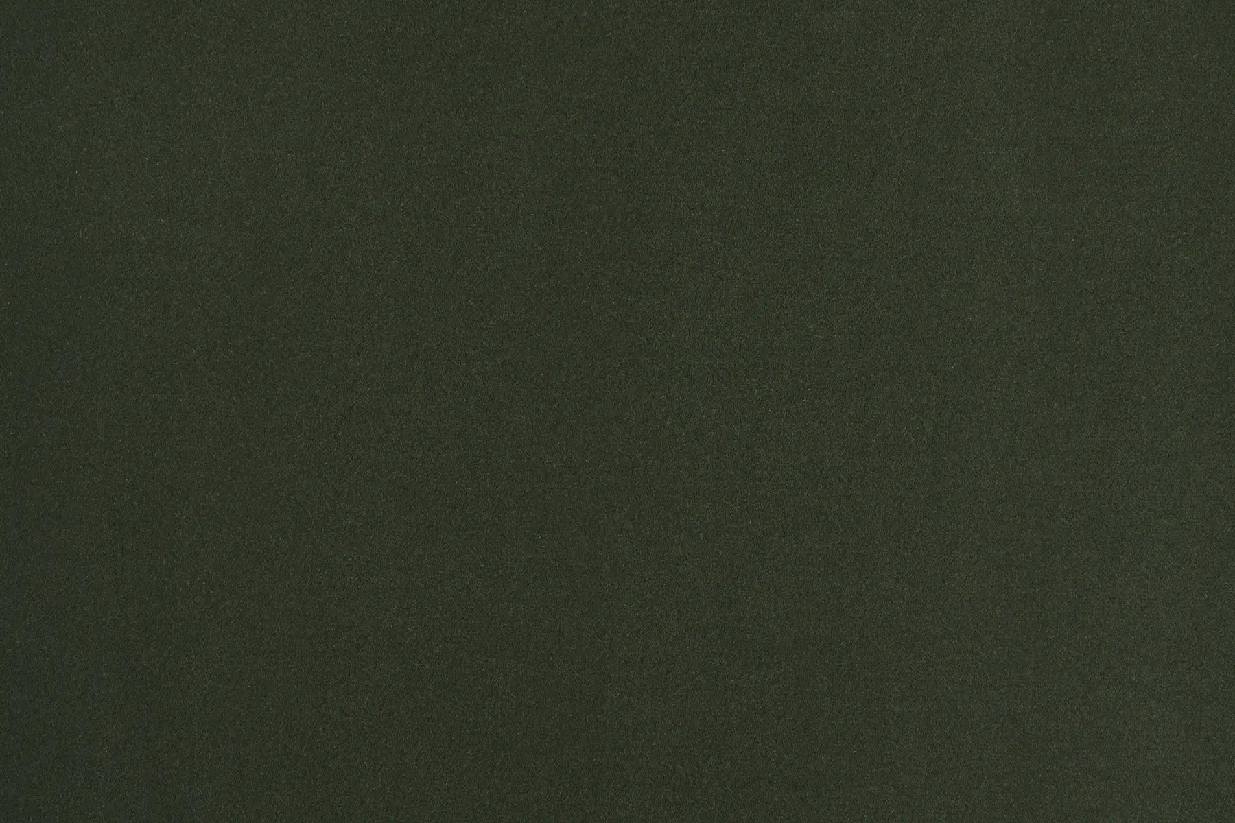Chateau carpet in Rochester