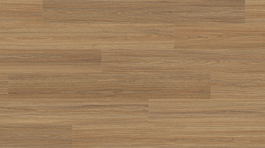 Voyager Vinyl Plank 5mm - Orion Spotted Gum – swatch