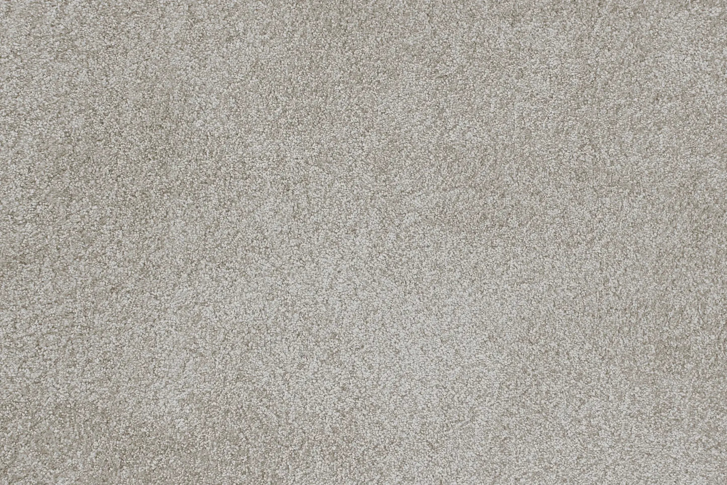 Sensation carpet in Salacity