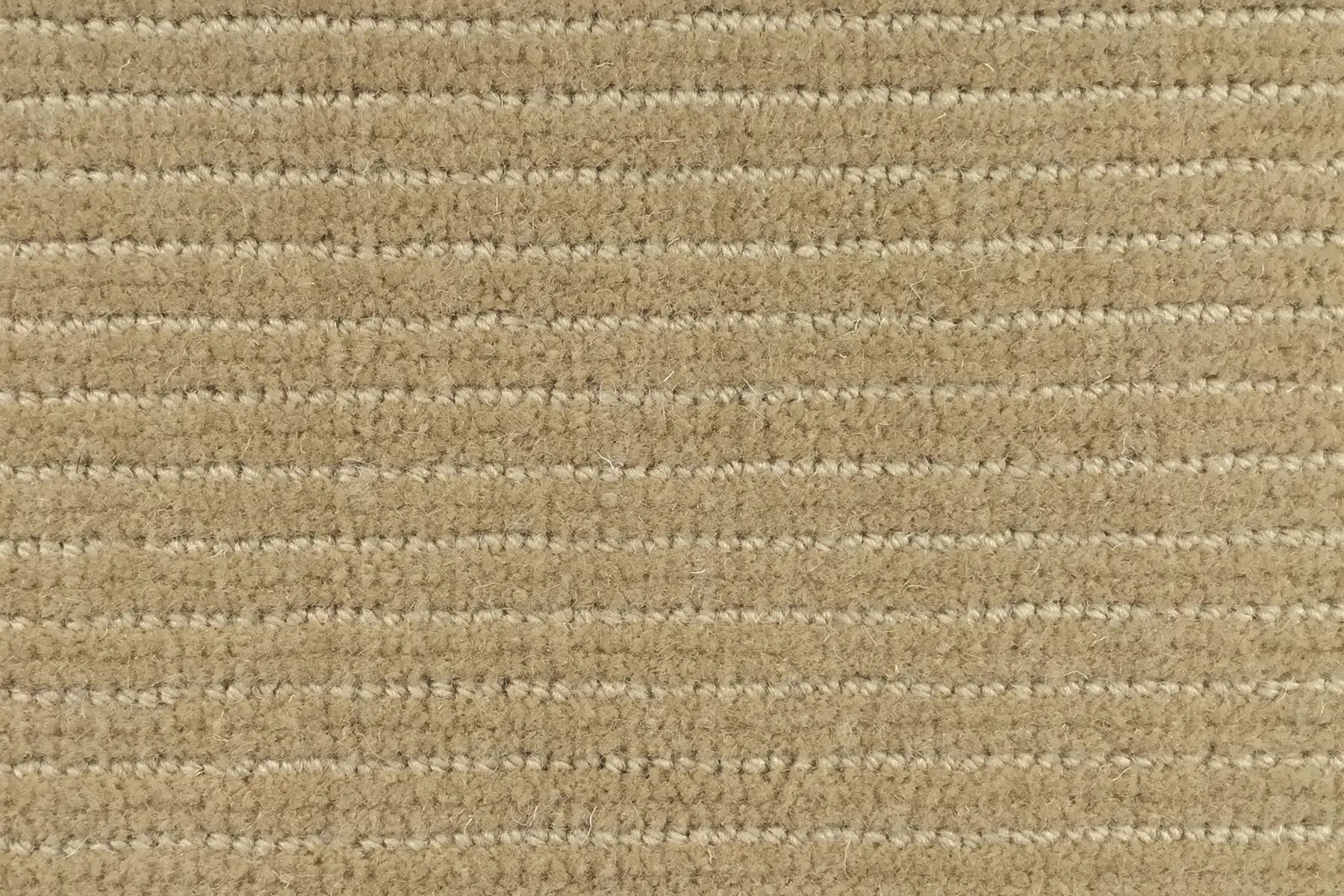 Era carpet in Season