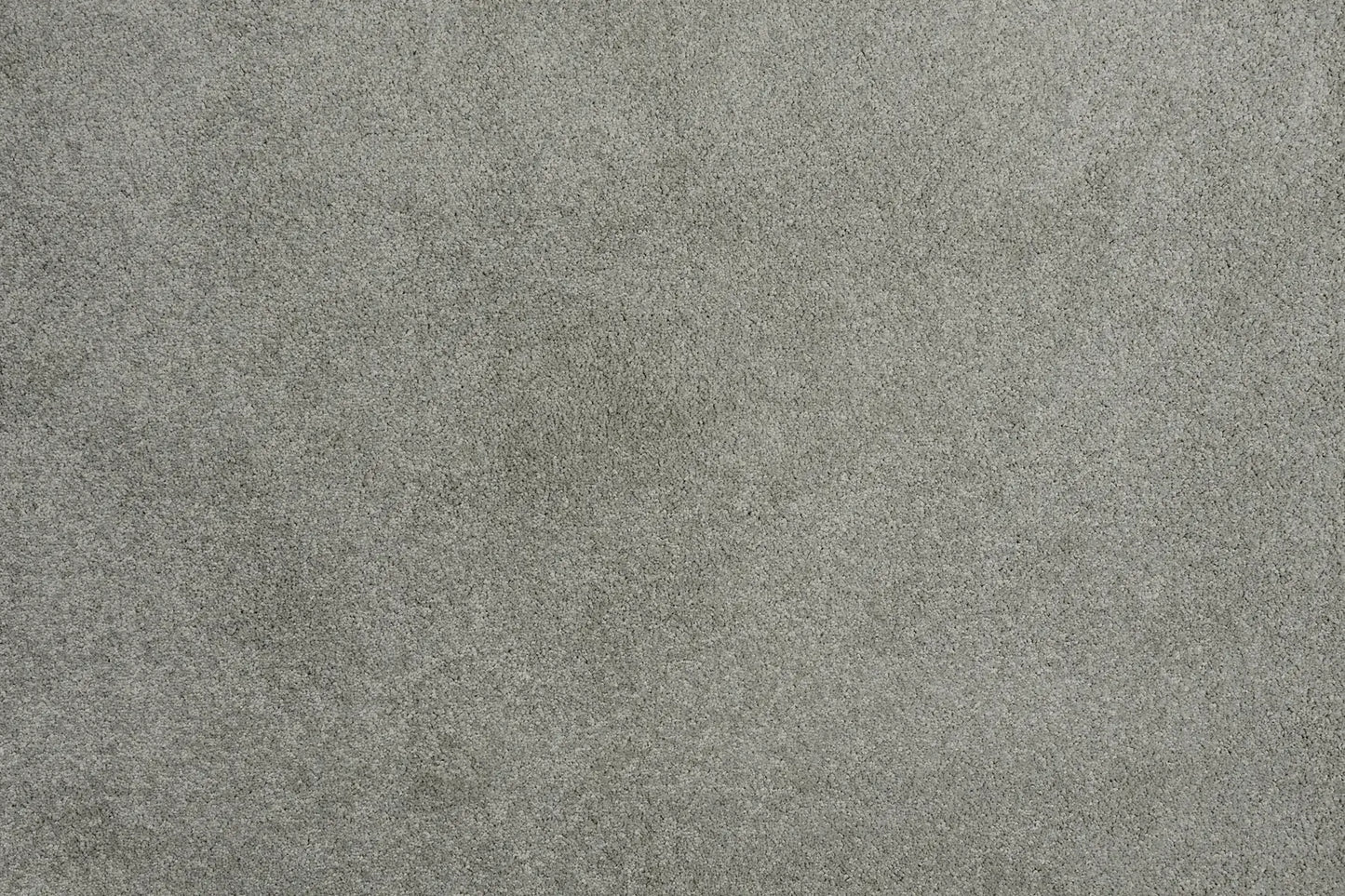 Alisa carpet in Serenity