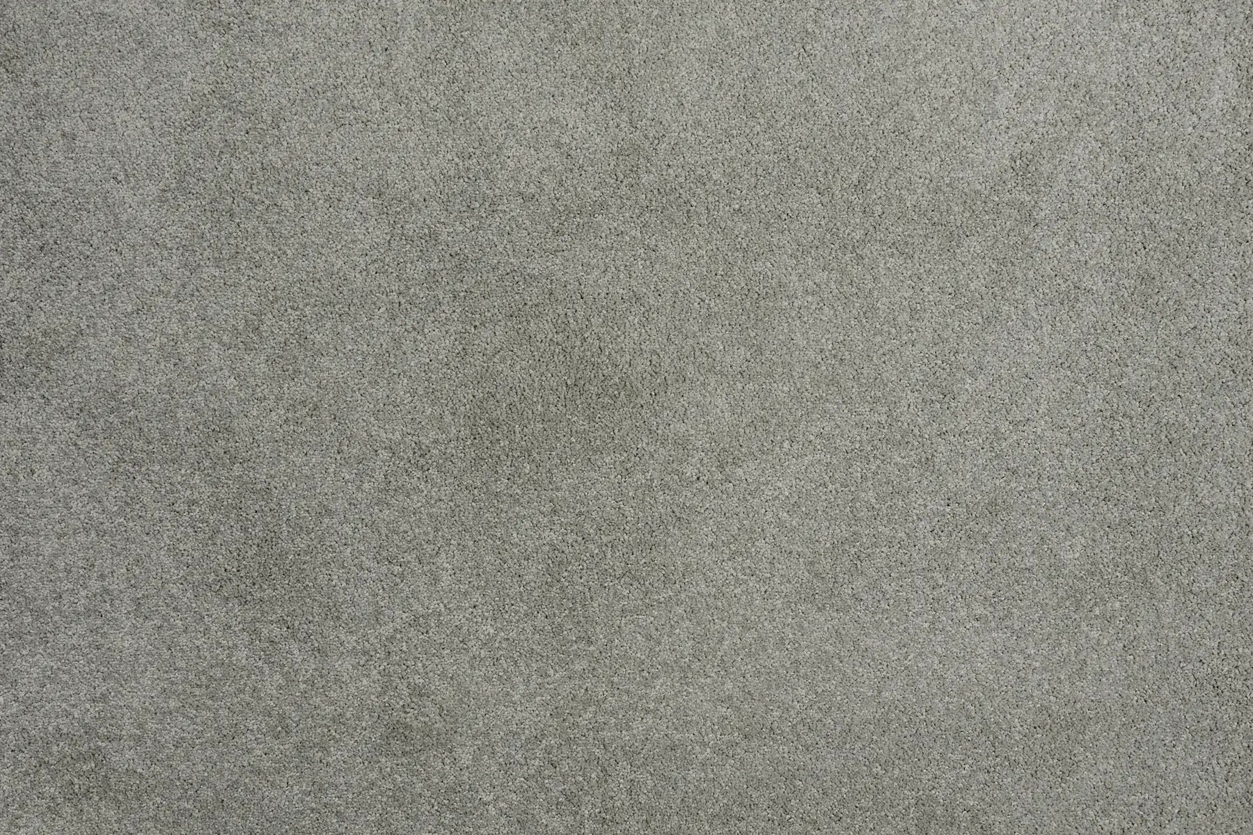 Alisa carpet in Serenity