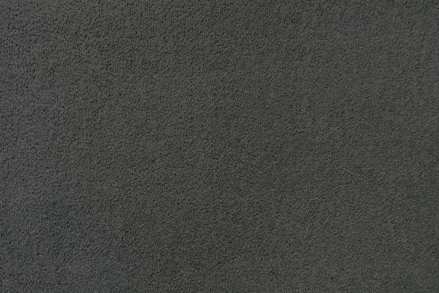 Plume carpet in Soar