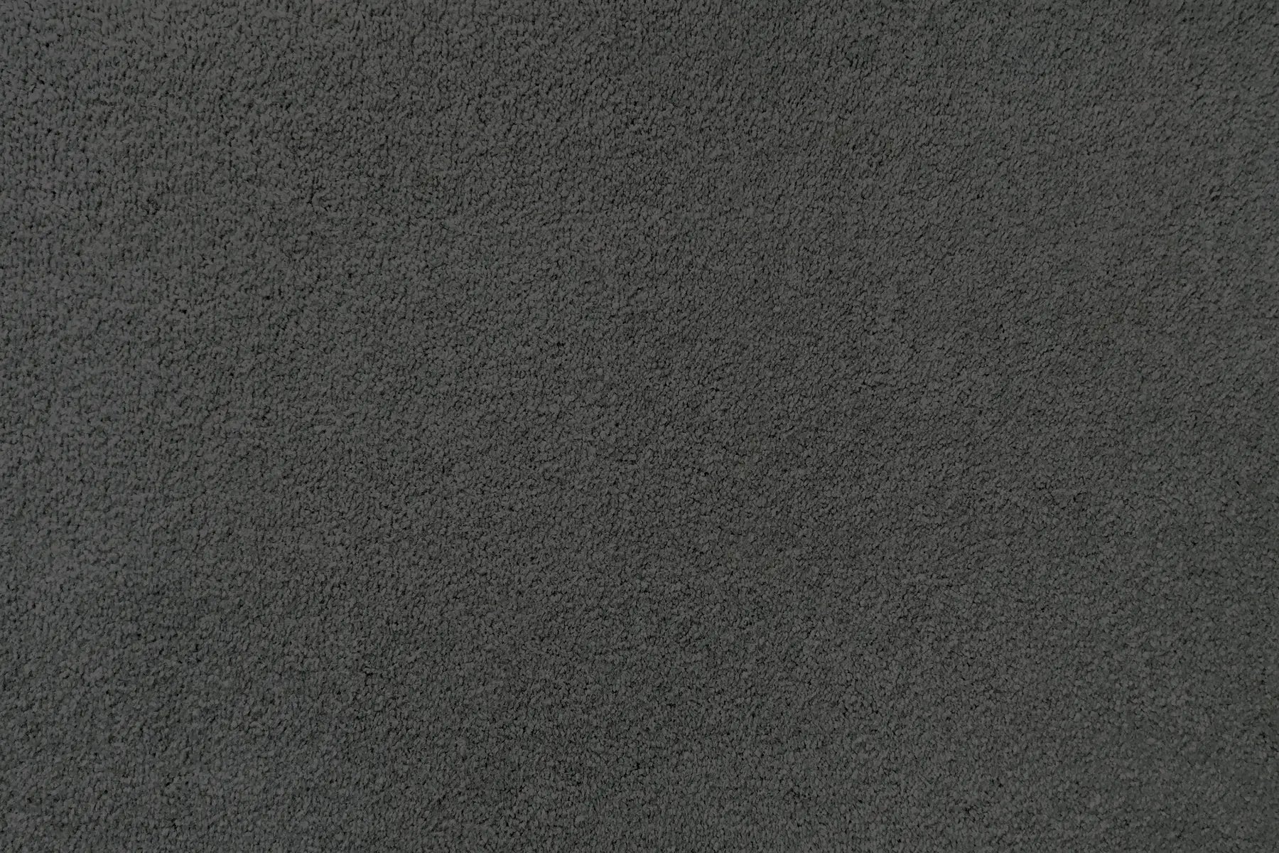 Plume carpet in Soar