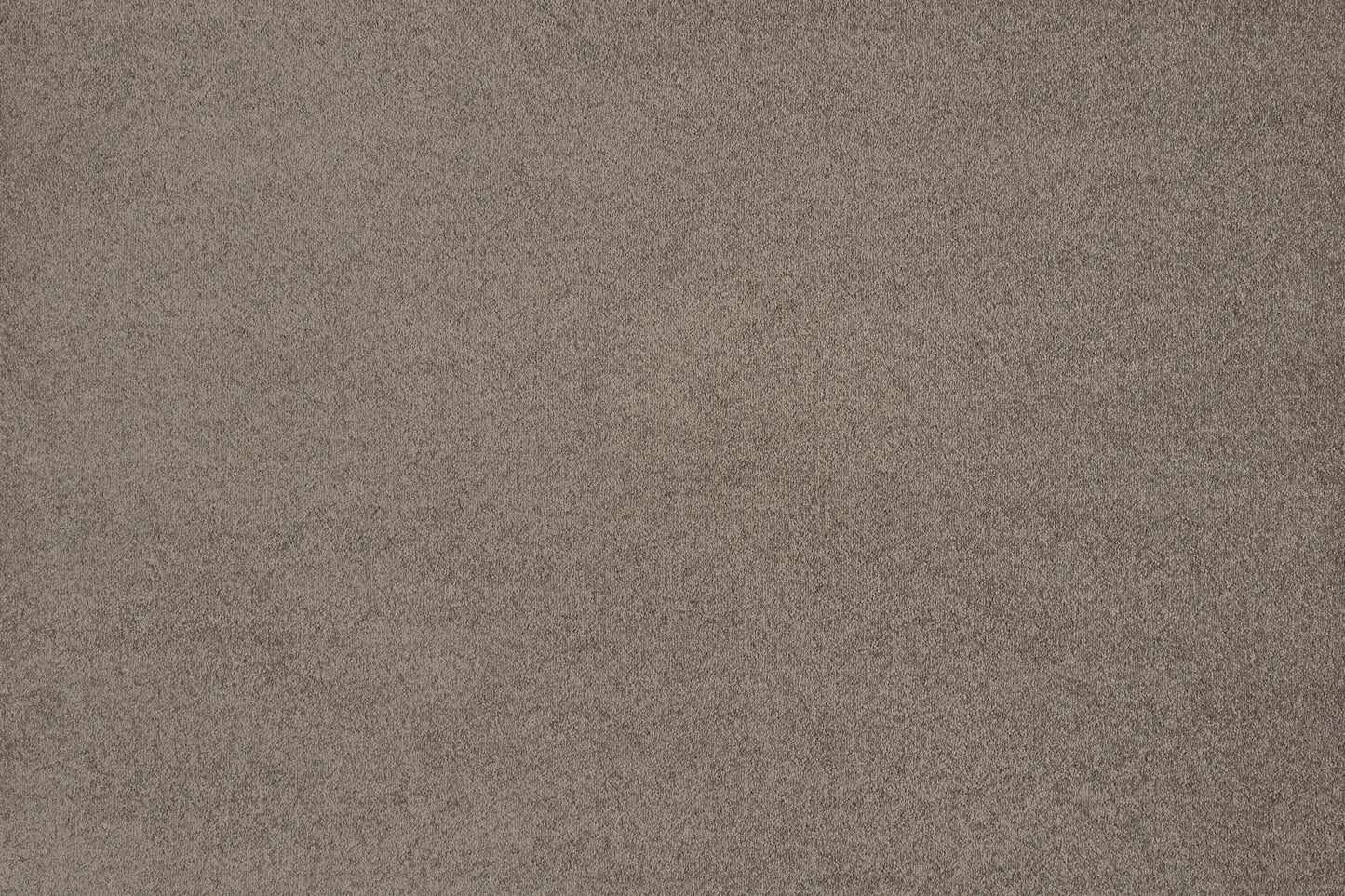 Melody carpet in Sonny