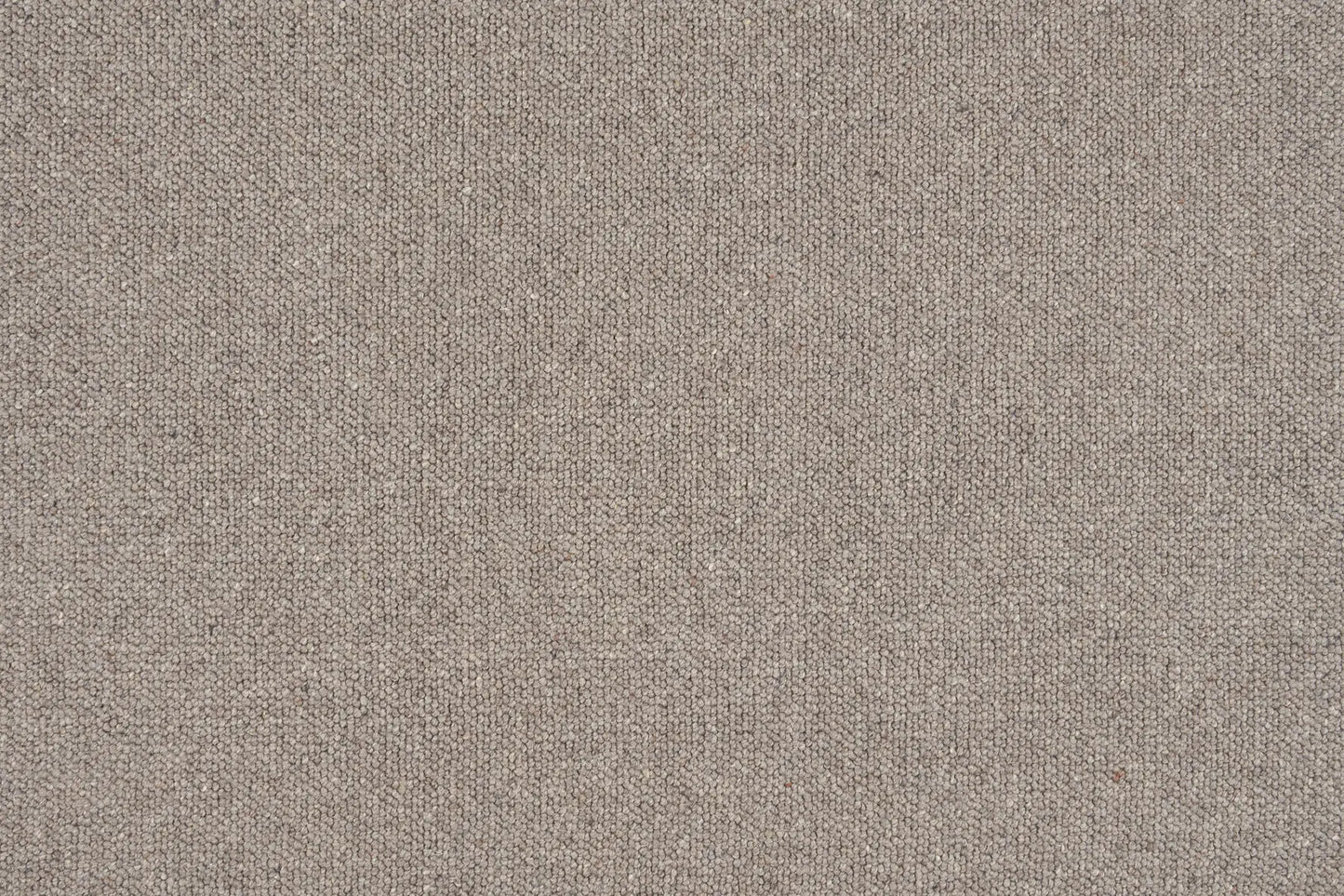 Boden carpet in Spencer