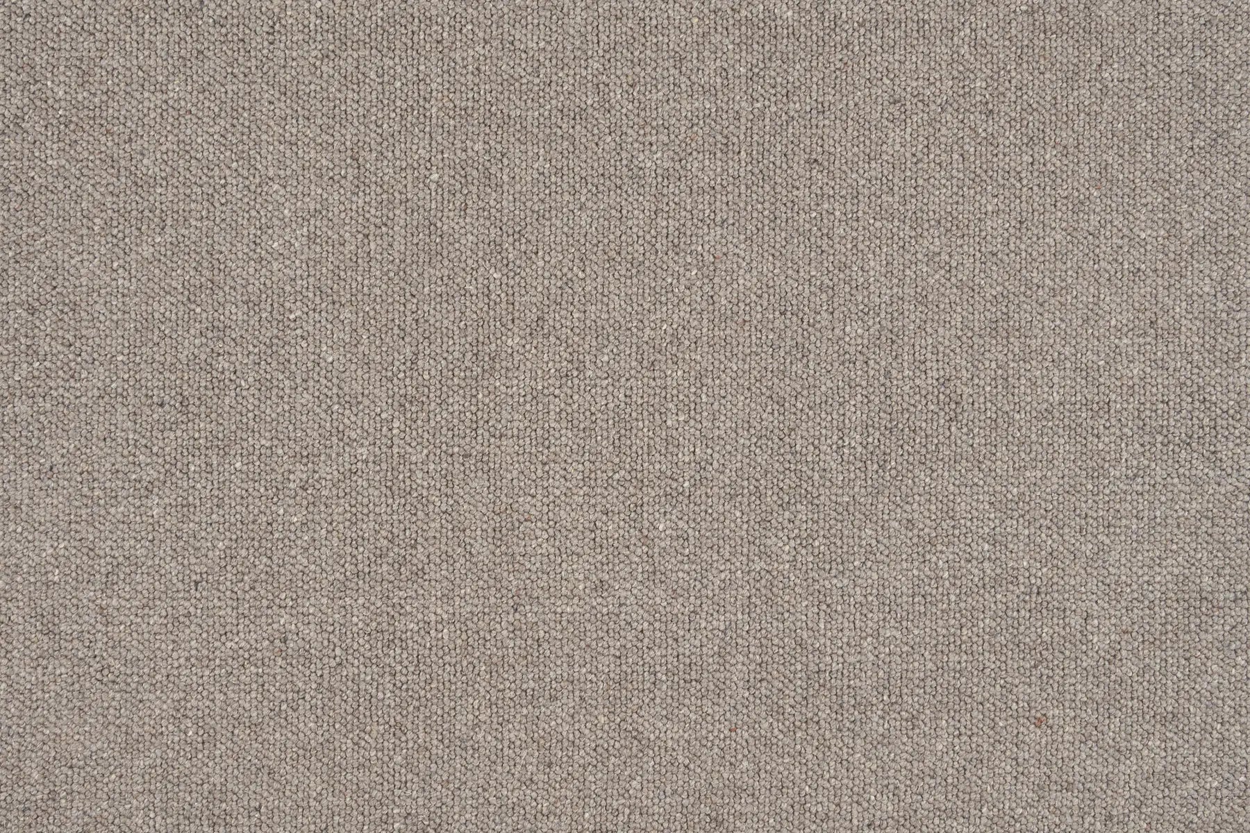 Boden carpet in Spencer