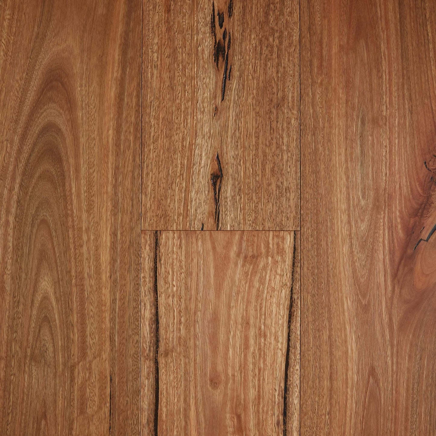 Fiddleback Australian Hardwood - Rustic Spotted Gum 189