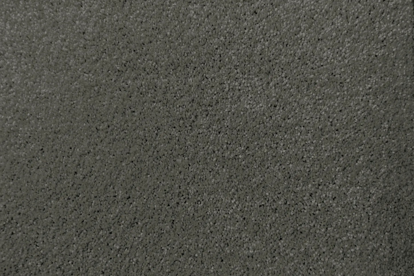 Lush carpet in Sumptous