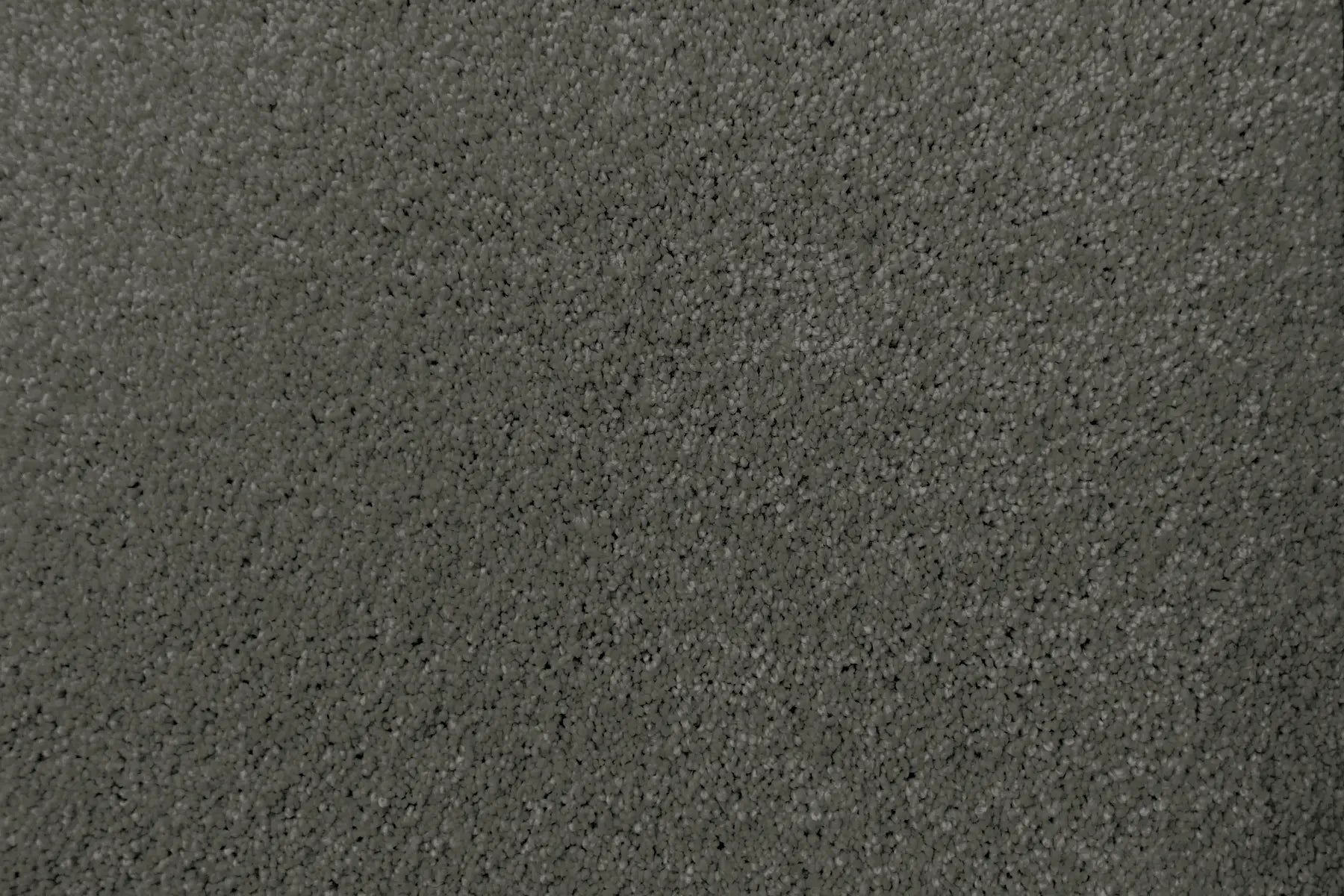 Lush carpet in Sumptous