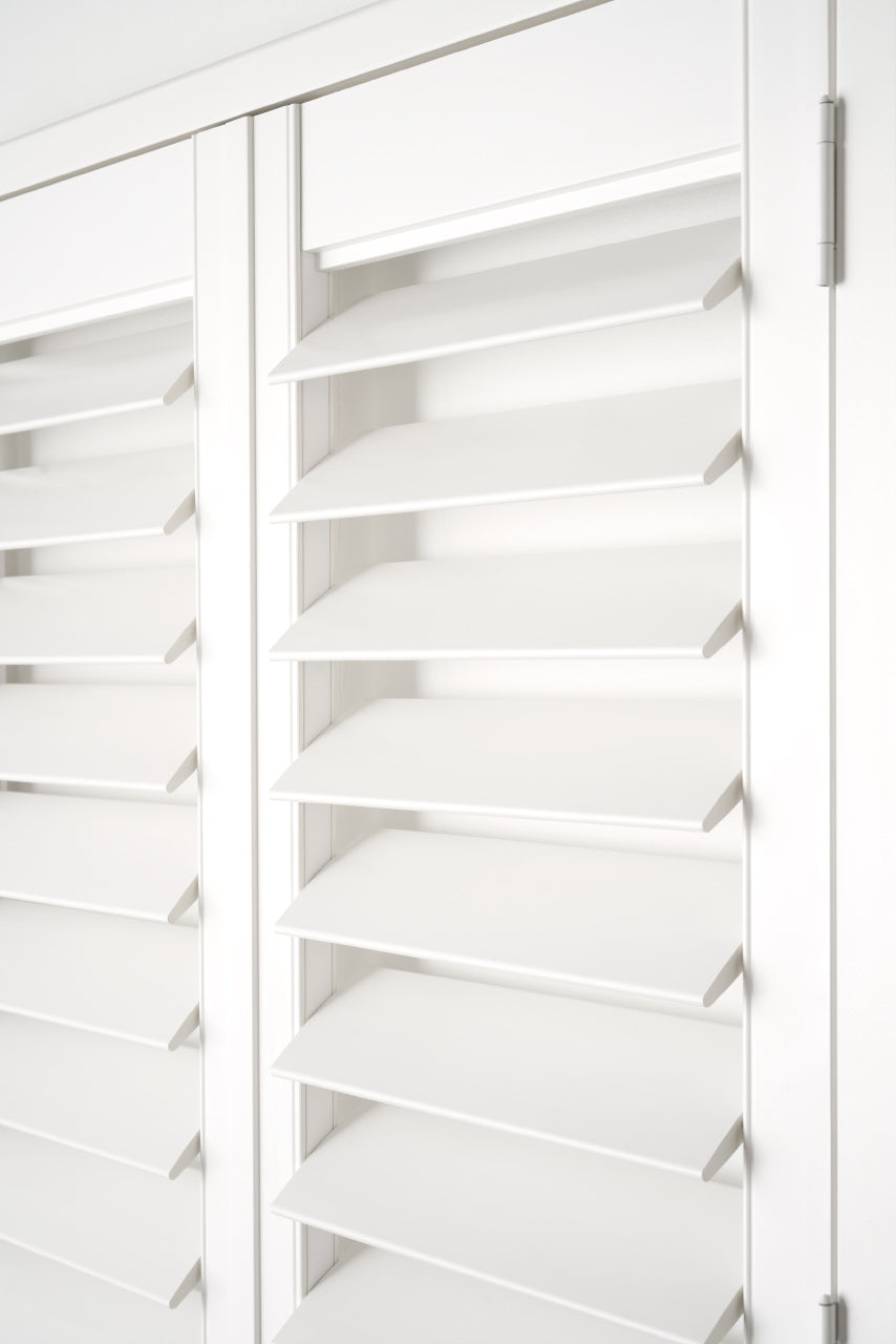 basswood plantation shutter two panels with D mould