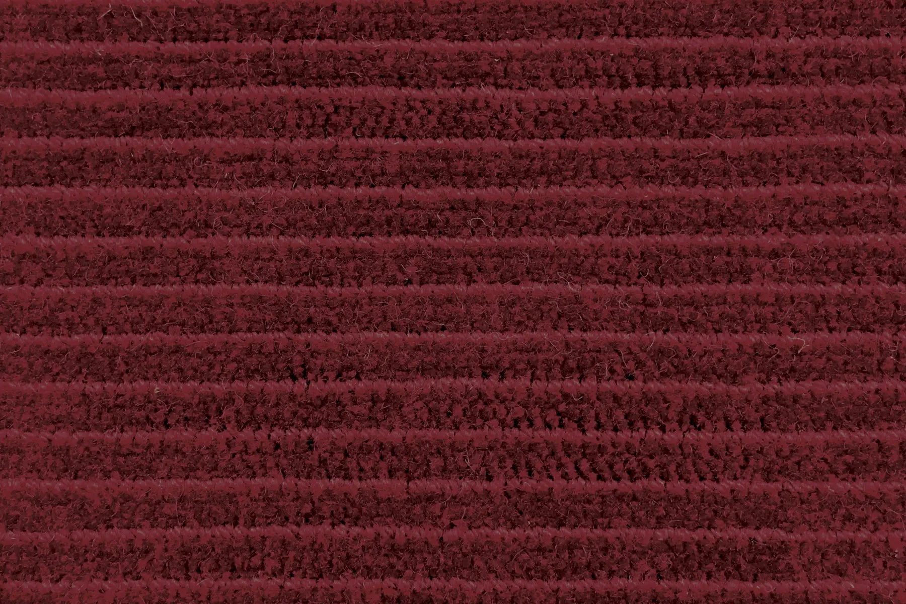 Era carpet in Term