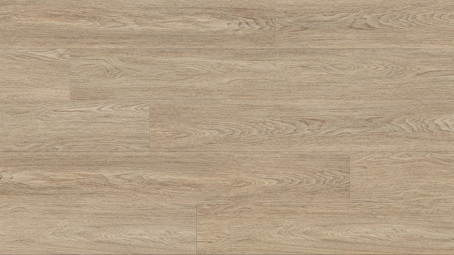 Robust Vinyl Plank 2mm - Palm House – swatch