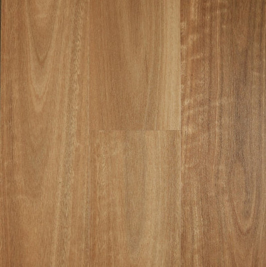 Iconic Hybrid - Spotted Gum