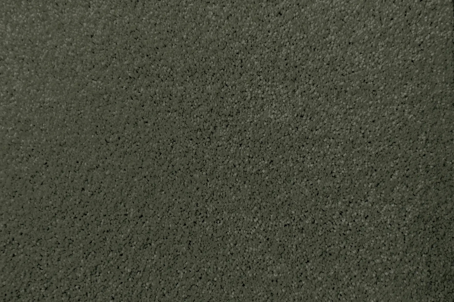 Lush carpet in Verdant