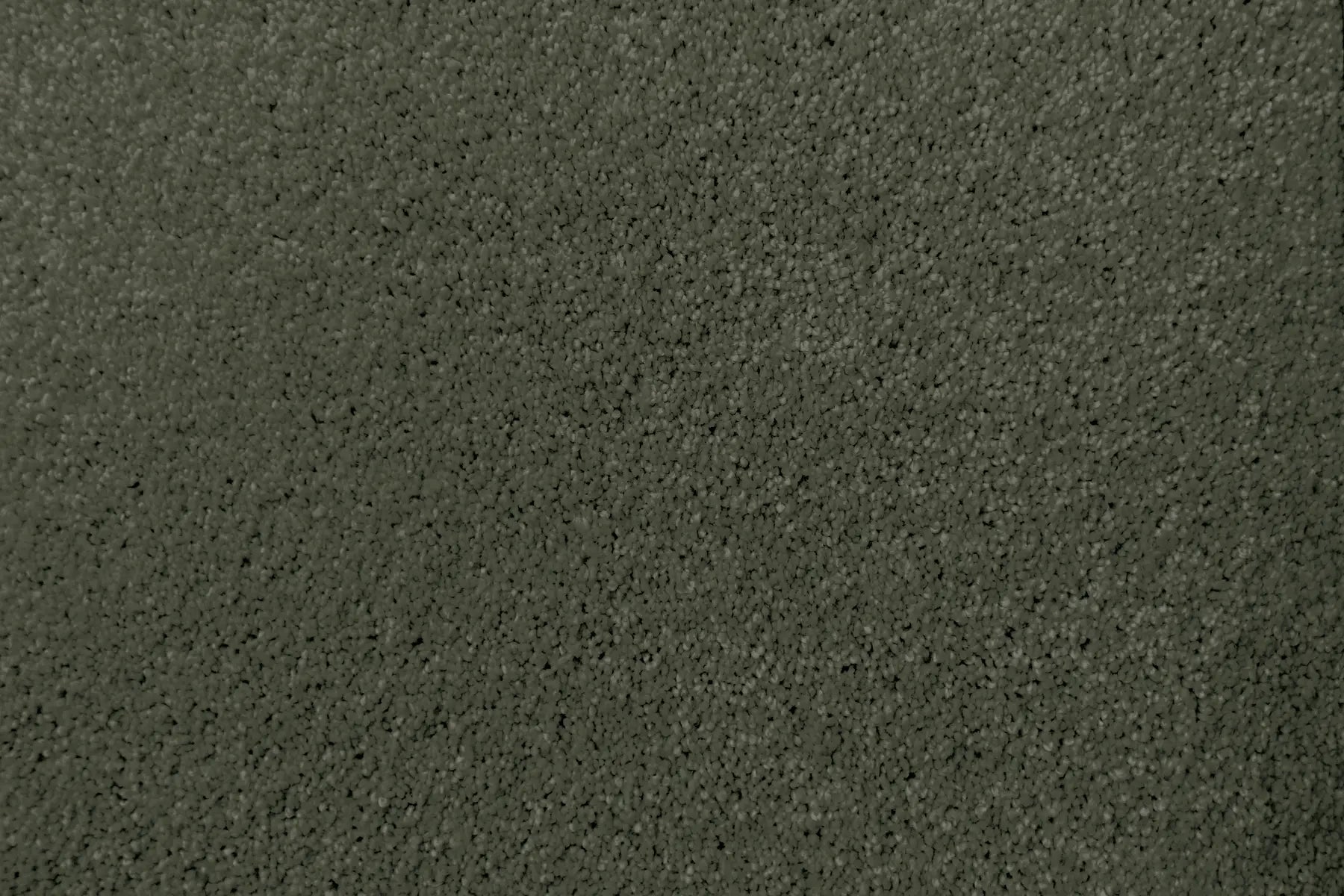 Lush carpet in Verdant