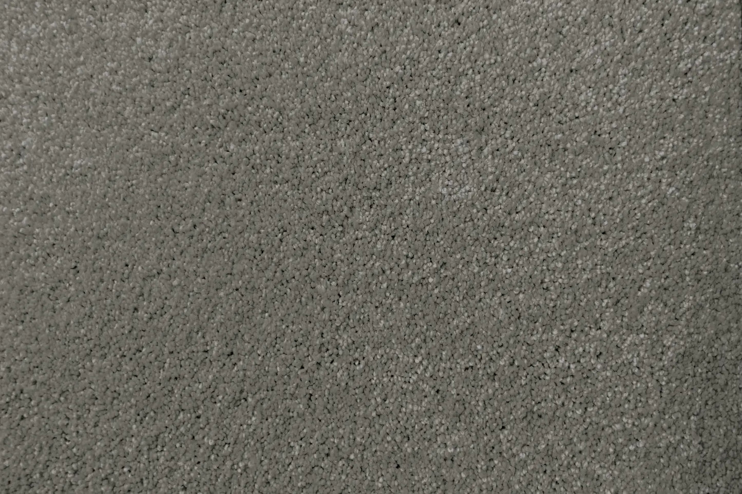 Lush carpet in Voluptuous