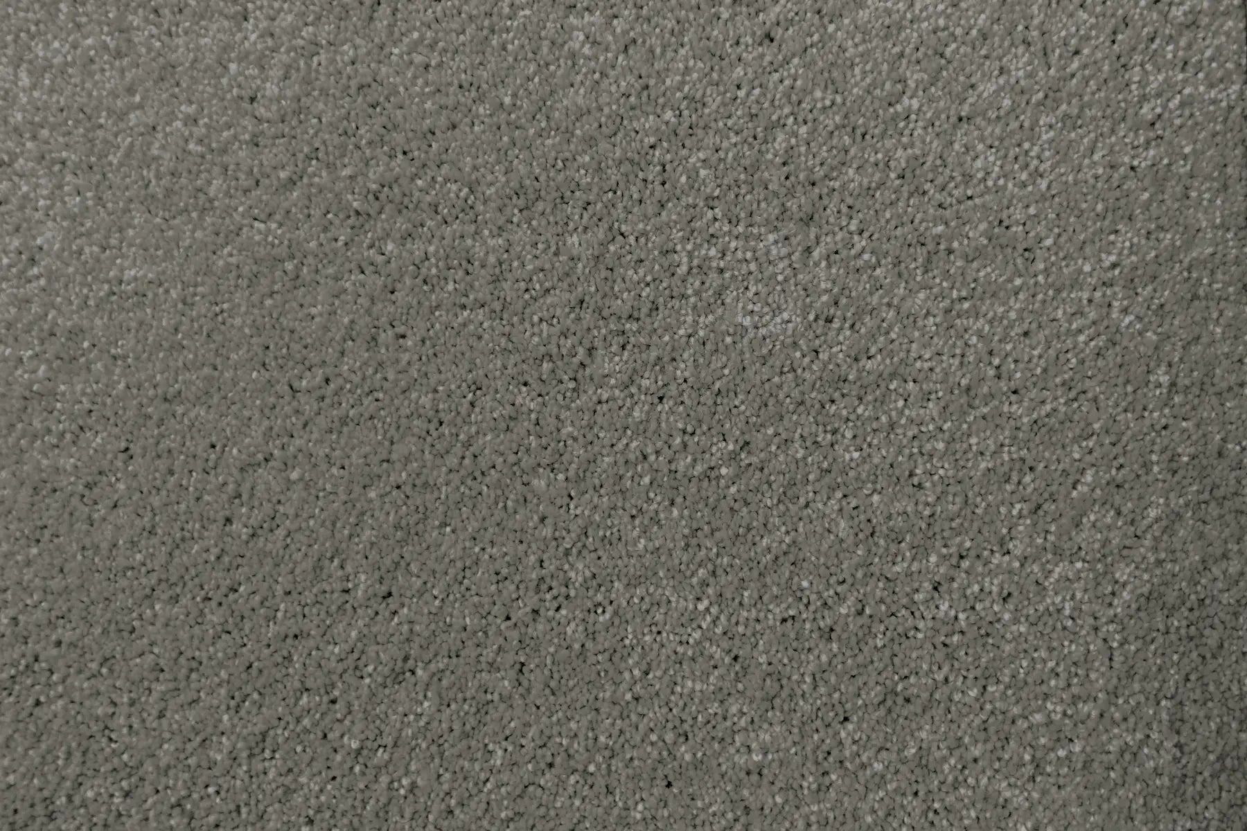 Lush carpet in Voluptuous