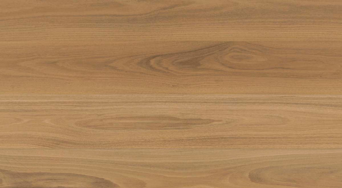Everlast Laminate 10mm - Atlantic Blackbutt – room scene 4