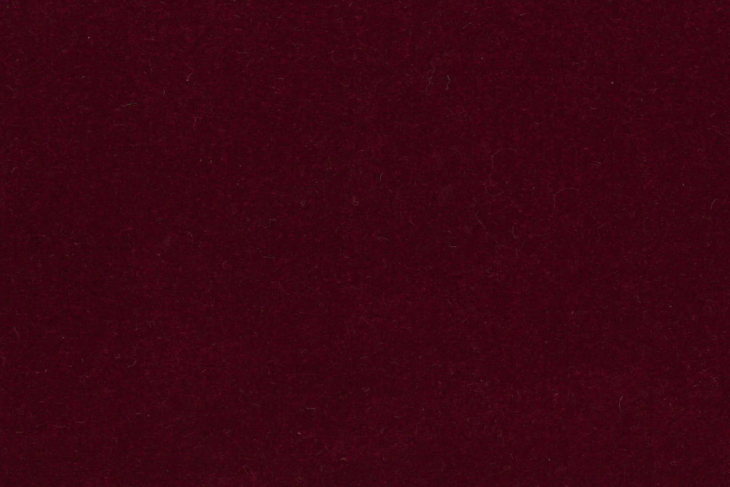 Chateau carpet in Windsor