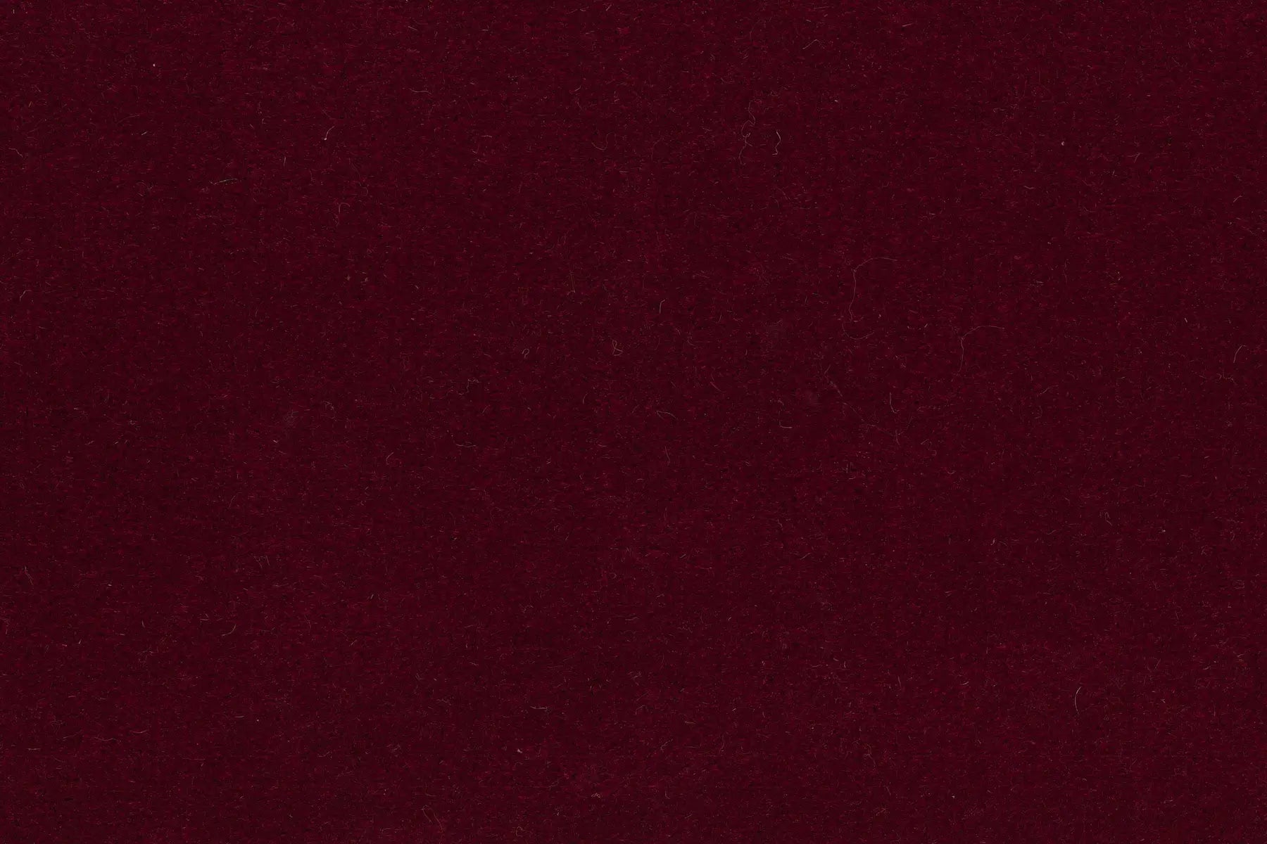 Chateau carpet in Windsor