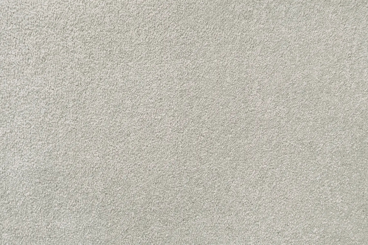 Plume carpet in Wing