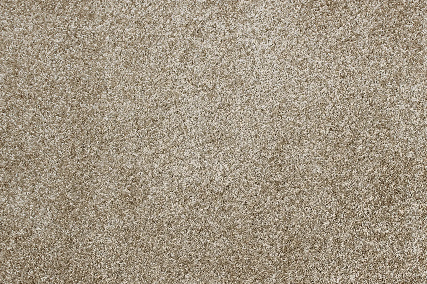 Sensation carpet in Wonderment